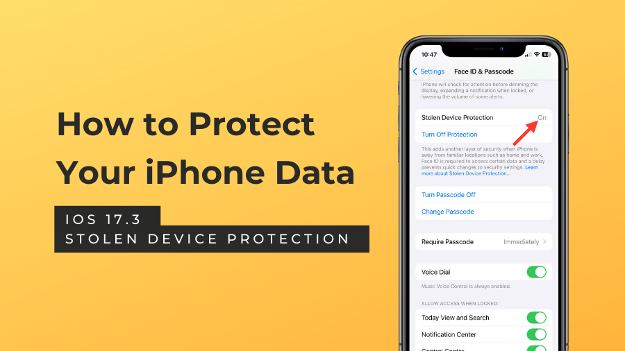 iOS 17.3 Stolen Device Protection, IT Services for K-12 Schools